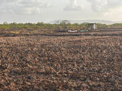 Residential Plot