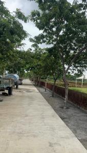 Image of 5500 Sq.ft Residential Plot / Land for sale in Bilkhiriya Kalan, Bhopal for Rs. 5200000