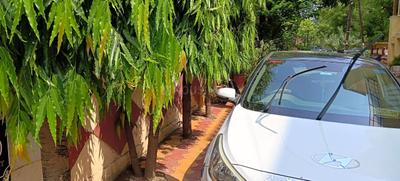 Image of 2100 Sq.ft 7 BHK Independent House for sale in Habib Ganj, Bhopal for Rs. 17000000