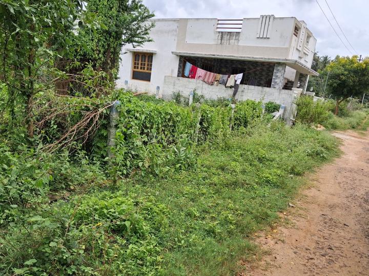 Anaimalai Main Image 1