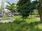 Naveen Residency Main Image 1