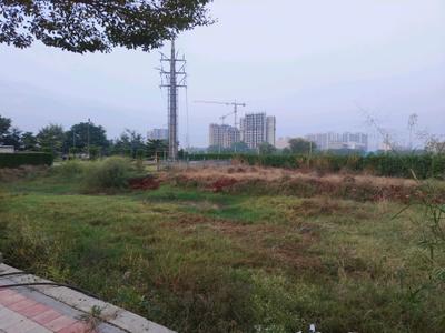 Image of 123 Sq.ft Residential Plot / Land for sale in Skywhales Vienna Greens, Sector 99A, Gurgaon for Rs. 22460011