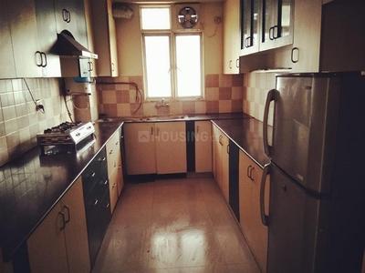 Kitchen Image of Comfort Luxury PG in Sector 66, Noida