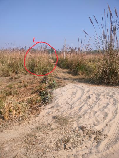 Suman Nagar Main Image 1