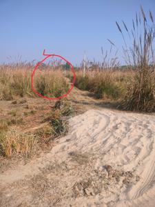 Image of 3000 Sq.ft Residential Plot / Land for sale in Suman Nagar, Haridwar for Rs. 1900000