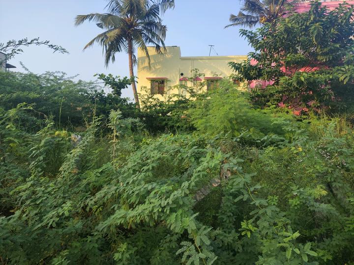 Pattabiram Main Image 1