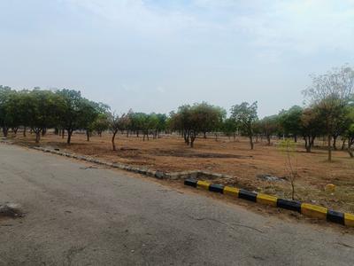Residential Plot