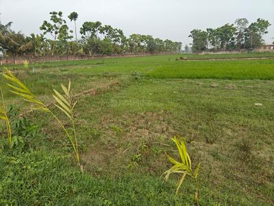 Sonarpur Plot View 2