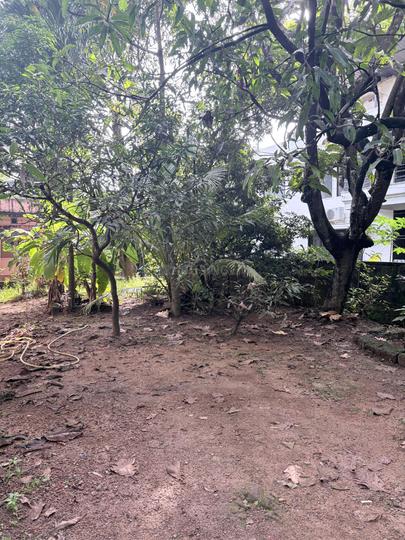 Jeppinamogaru Main Image 1