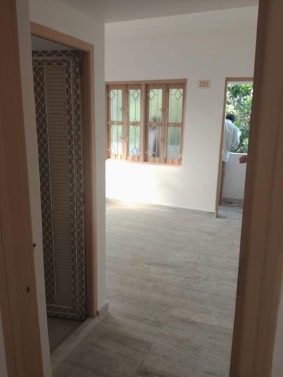 Deb Nibas Main Image 1