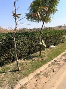 BPTP Amstoria  Plot View 3