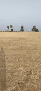 Image of 900 Sq.ft Residential Plot / Land for sale in Chettipalayam, Coimbatore for Rs. 250000