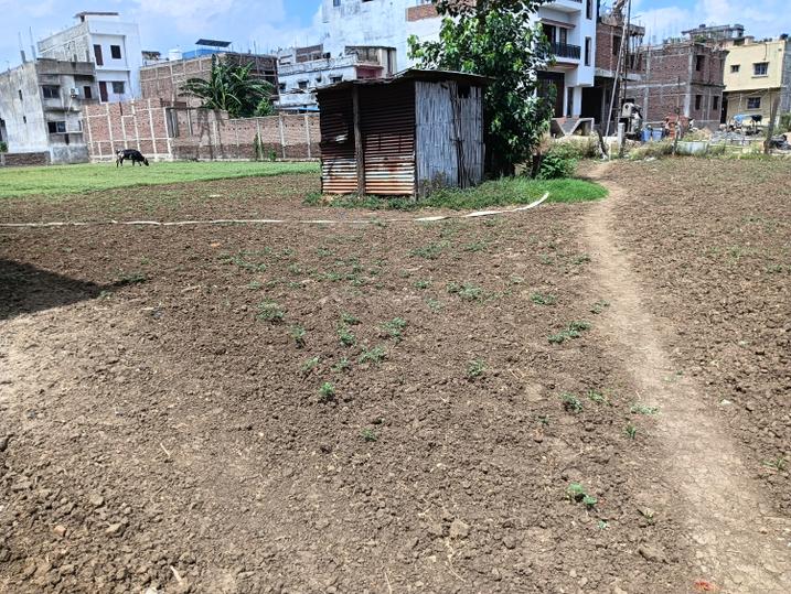 Danapur Nizamat Main Image 1