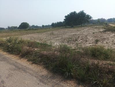 Sarsaul Plot View 1