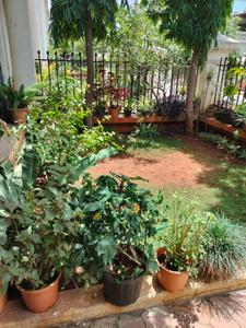 Balcony Image of 2400 Sq.ft 3.5 BHK Villa for rent in Dorabjee Paradise, Mohammed Wadi Pune for Rs. 65000