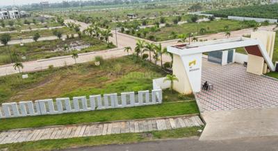 Kankipadu Plot View 1