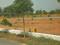 NAKKAPALLI PLOTS Main Image 1