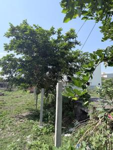 Image of 2700 Sq.ft Residential Plot / Land for sale in Guduvancheri, Chennai for Rs. 12250000