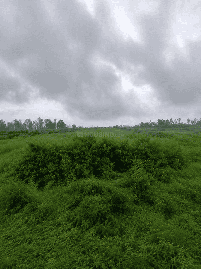 Model Town Main Image 1