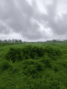 Model Town Plot View 1