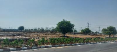 Akira Living By Chart Group Plot View 2