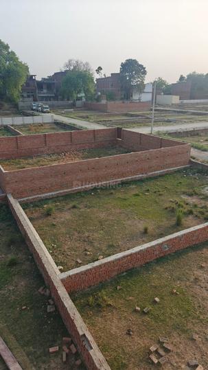 Society  Main Image 1