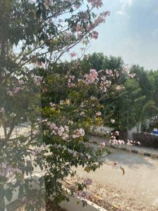 Image of 4600 Sq.ft 4 BHK Villa for sale in Sark One Extension, Mokila, Hyderabad for Rs. 73000000