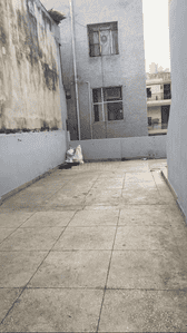 Image of Reet Paying Guest in Vishnu Garden, New Delhi