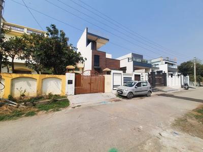 IIP Plot View 1