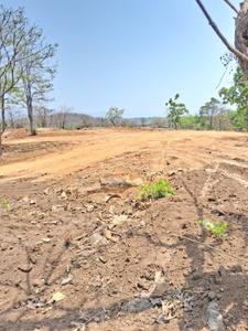 Residential Plot