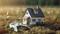 HG  Tuscan Lane Main Image 1