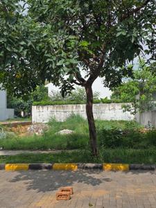 Residential Plot