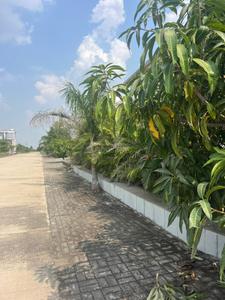 Floor Plan Image of 1000 Sq.ft Residential Plot / Land for sale in Mundhwa Pune for Rs. 249999