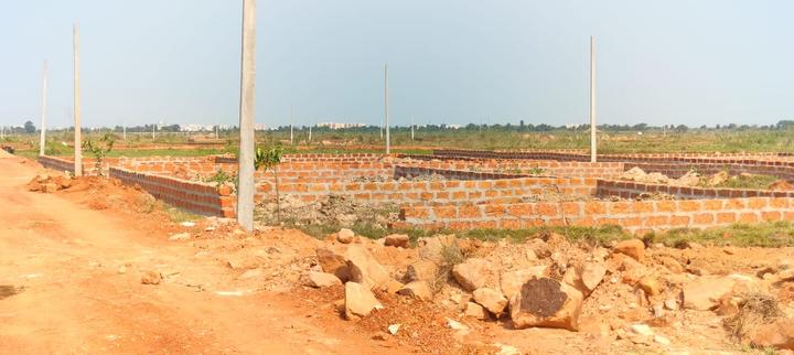 Patrapoda Main Image 1