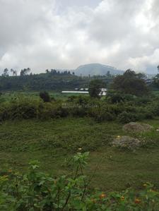 Residential Plot