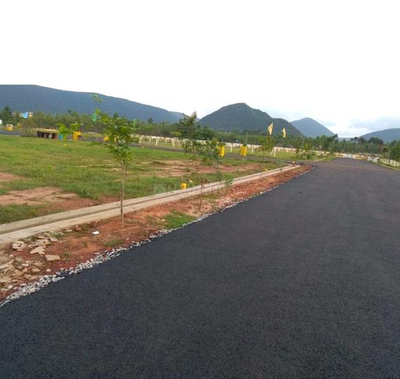 Prakruthi golden bird Main Image 1