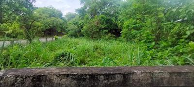 Image of 4356 Sq.ft Residential Plot / Land for sale in Velappaya, Killannur, Thrissur for Rs. 5750000