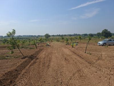 Agricultural Land