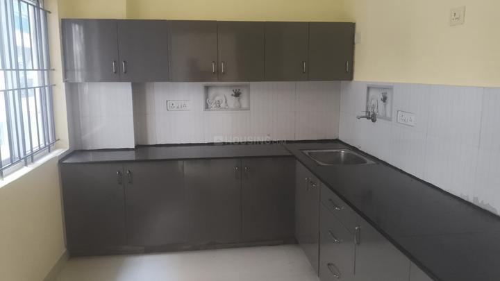 Nevil Avila Main Image 1