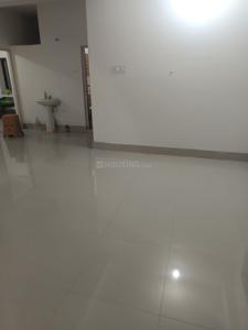 Hall Image of 1100 Sq.ft 3 BHK Apartment / Flat for rent in Kalyani Nadia for Rs. 13000