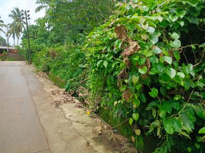 Image of 7000 Sq.ft Residential Plot / Land for sale in Kaikamba, Mangalore for Rs. 6500000