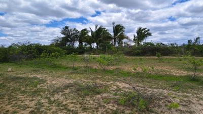 Thaticherla Plot View 2