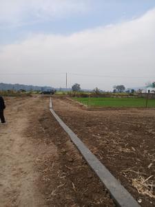 Image of 200 Sq.ft Residential Plot / Land for sale in Dehradun Dudhli Doiwala Bypass Project, Doiwala, Dehradun for Rs. 5000000