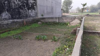 Mati Plot View 2
