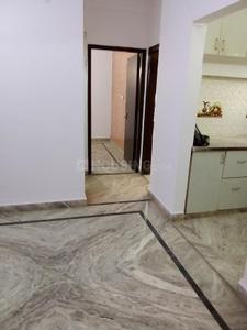 Hall Image of 600 Sq.ft 3 BHK Apartment / Flat for rent in Burari New Delhi for Rs. 12500