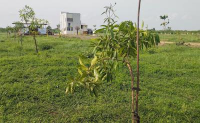 Image of 9600 Sq.ft Residential Plot / Land for sale in Walajabad, Chennai for Rs. 2496000