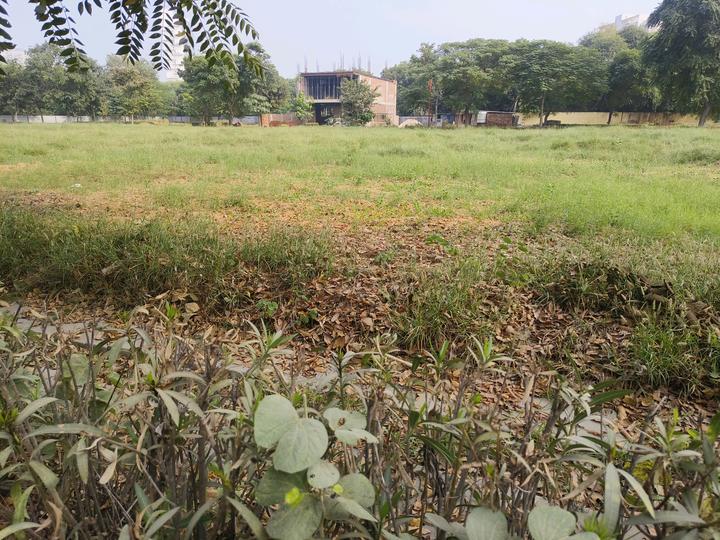 Hero The Ark Main Image 1