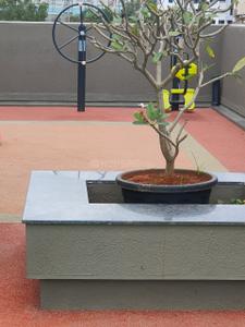 Balcony Image of 1300 Sq.ft 3 BHK Apartment / Flat for rent in Badhekar Tungabhadra, Kothrud Pune for Rs. 50000
