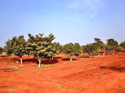 Image of 4650 Sq.ft Residential Plot / Land for sale in Chevella, Hyderabad for Rs. 6100000