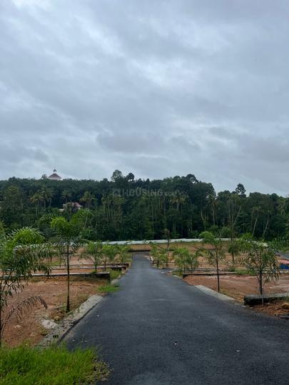Pinarmunda plots Main Image 1